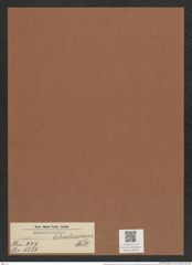Actinoptychus delicatissimus Witt. (de-Toni-Nr.: Genus 227, Species 5559) Zeichnungen Sammlung Grunow Mappe 05318 (Herbarium_W_Grunow_drawings_Folder_05318)